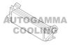 BMW 17117618768 Intercooler, charger